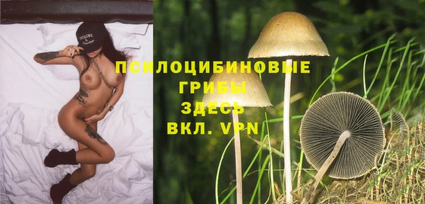 винт Россошь