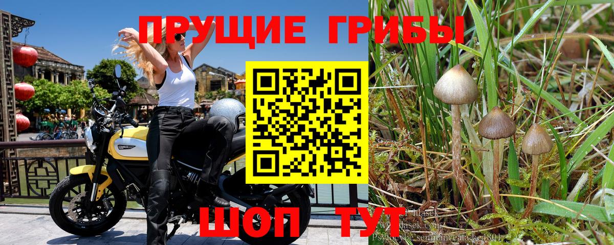 Псилоцибиновые грибы мухоморы  Вход с VPN  Отрадный 