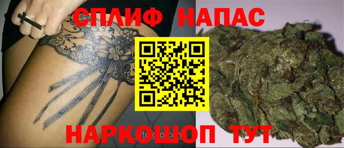 Марихуана конопля Отрадный